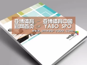 项目名称九