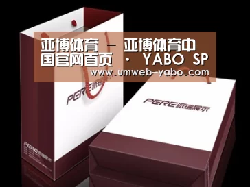 项目名称十二