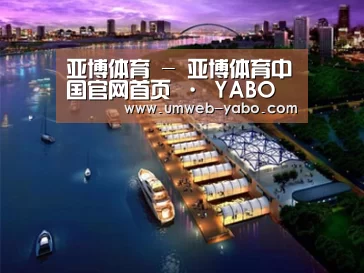 案例展示八