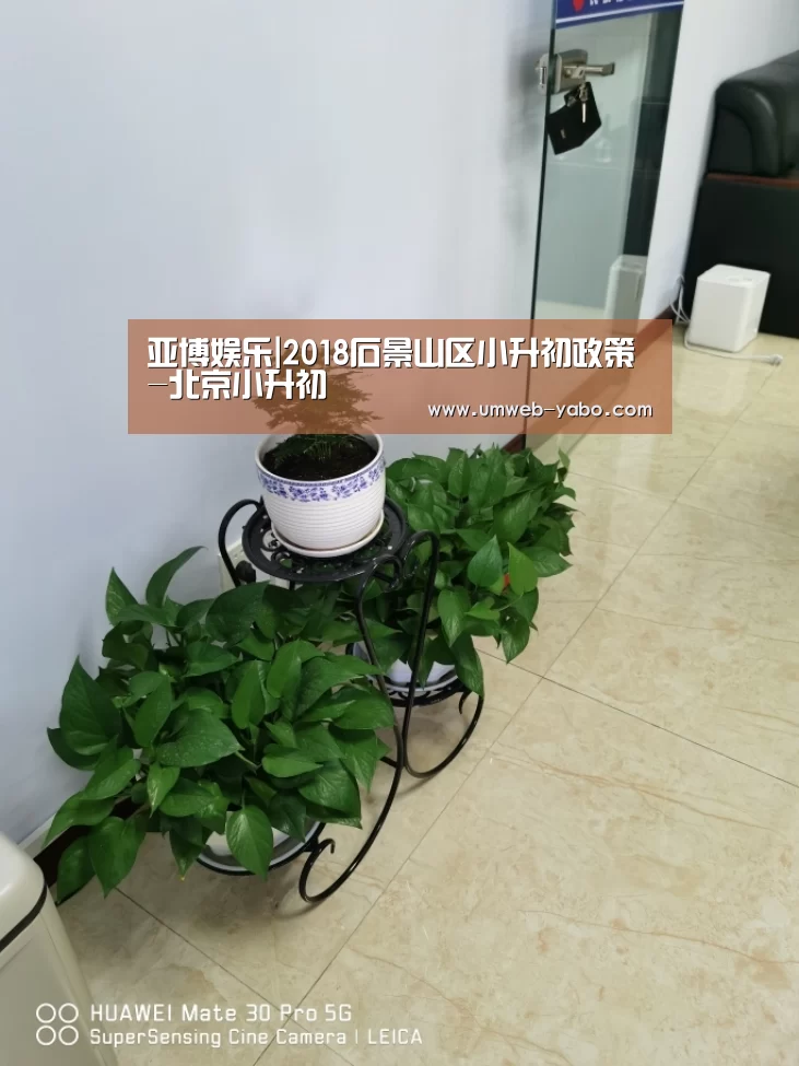 亚博娱乐