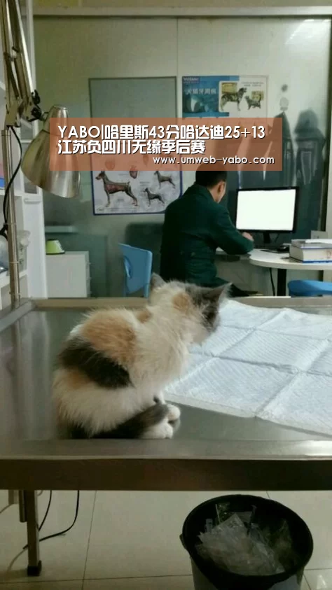 亚博APP